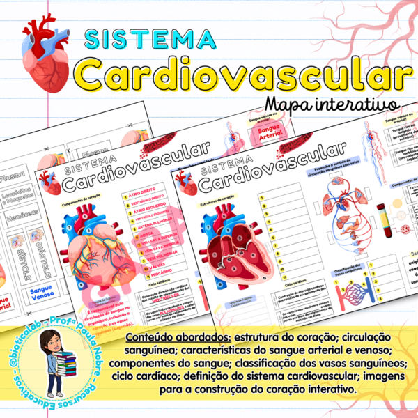 Atividade sistema cardiovascular coração circulação sanguínea ciências ensino fundamental