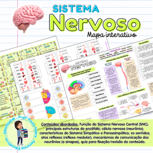Atividade sistema nervoso neurônio sinapse ciências ensino fundamental
