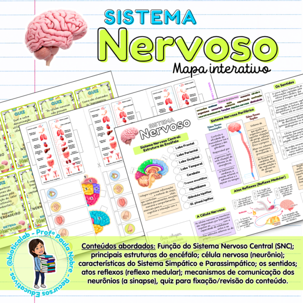 Atividade sistema nervoso neurônio sinapse ciências ensino fundamental