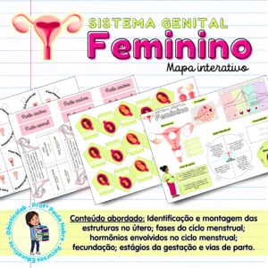 sistema genital feminino, útero, ovário, menstruação, gestação, ciências, ensino fundamental