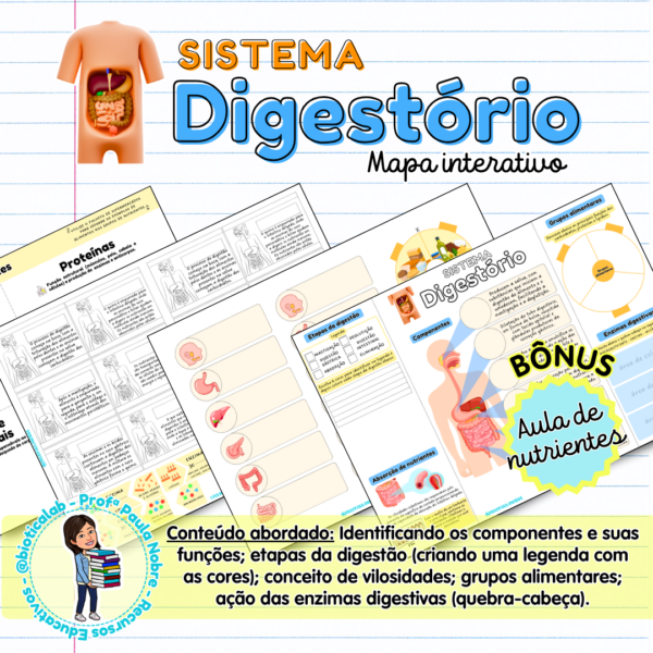 digestão, nutrientes, grupos alimentares, ciências, ensino fundamental
