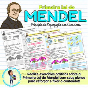 Primeira Lei de Mendel