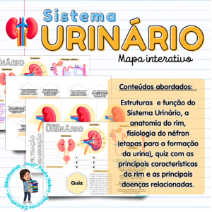 sistema urinário rins néfron doenças filtração ciências ensino fundamental