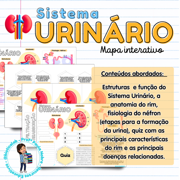 sistema urinário rins néfron doenças filtração ciências ensino fundamental