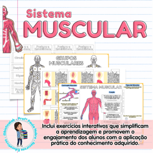 Sistema Muscular