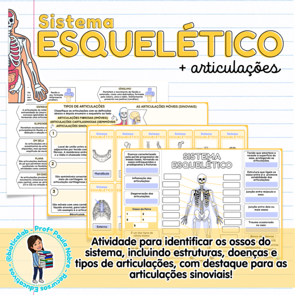 Sistema Esquelético + Articulações