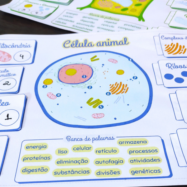 Atividade - Célula Animal e Vegetal - Image 2