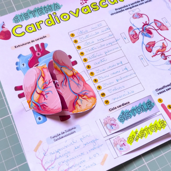 Sistema Cardiovascular - Mapa Interativo - Image 5